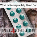 What Is Kamagra Jelly Used For dapoxetine1